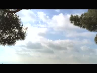 Video promocional de Caddy